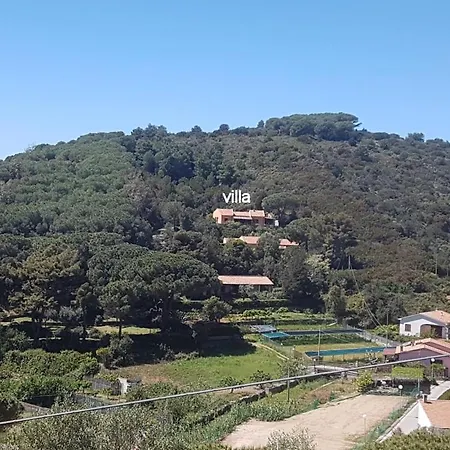 Marilena - Goelba *