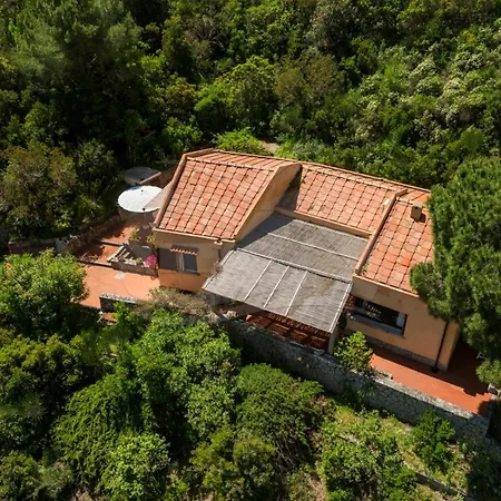 Marilena - Goelba